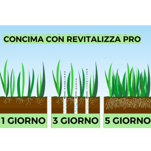 CONCIMA-CON-REVITALIZZA-PRO-e1714497474662.png CONCIMA-CON-REVITALIZZA-PRO-e1714497474662.png
