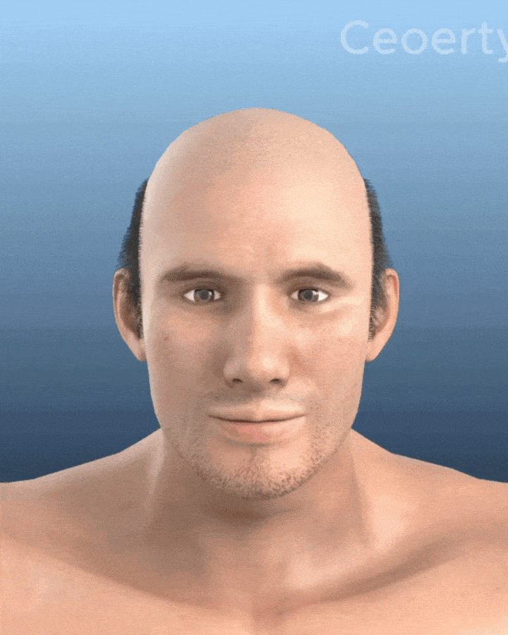 GIF-CAPELLI.gif GIF-CAPELLI.gif